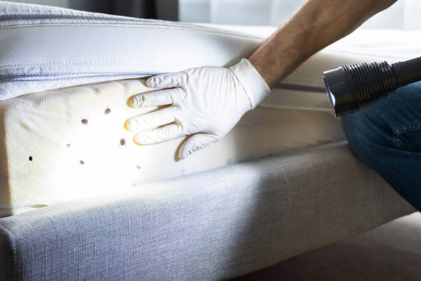 Best Bed Bug Extermination  in Ontonagon, MI