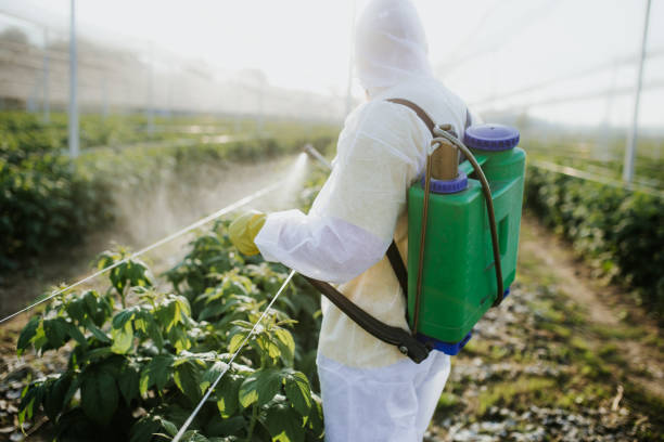 Best Flea Control Services  in Ontonagon, MI